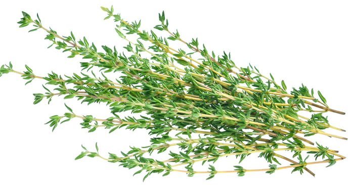 THYME