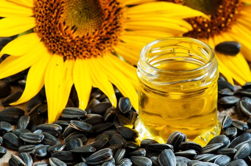 SUNFLOWER SEEDS 8oz | Model: SUNFLOWER-SEED